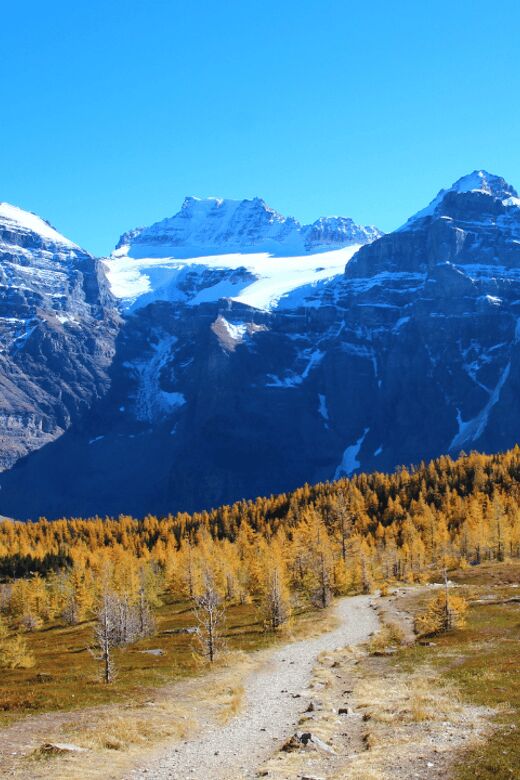 Banff/Canmore: Larch Valley & Moraine Lake - The Experience for Different Travelers
