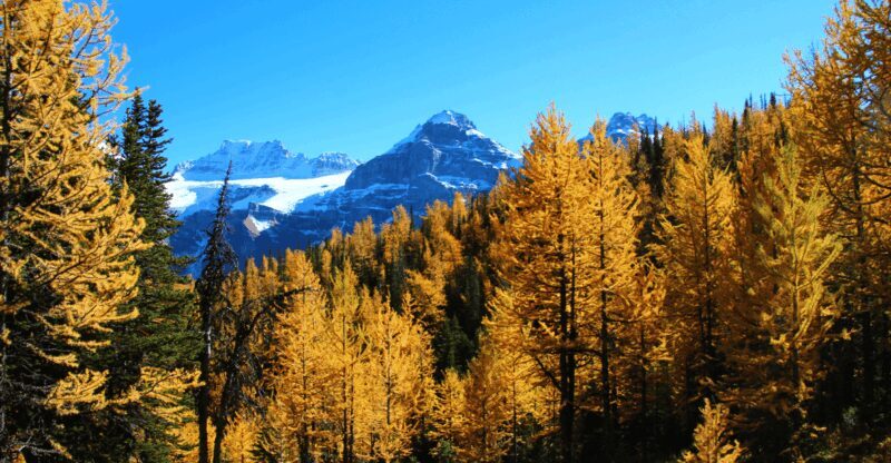 Banff/Canmore: Larch Valley & Moraine Lake - FAQs