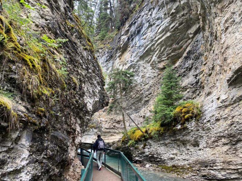 Banff/Canmore: Moraine Lake 1.5h & Lake Louise Half-Day Tour - Who Should Consider This Tour?