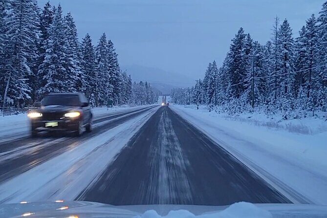 Banff Canmore to Calgary YYC Airport Transfer - What to Expect from This Transfer Service