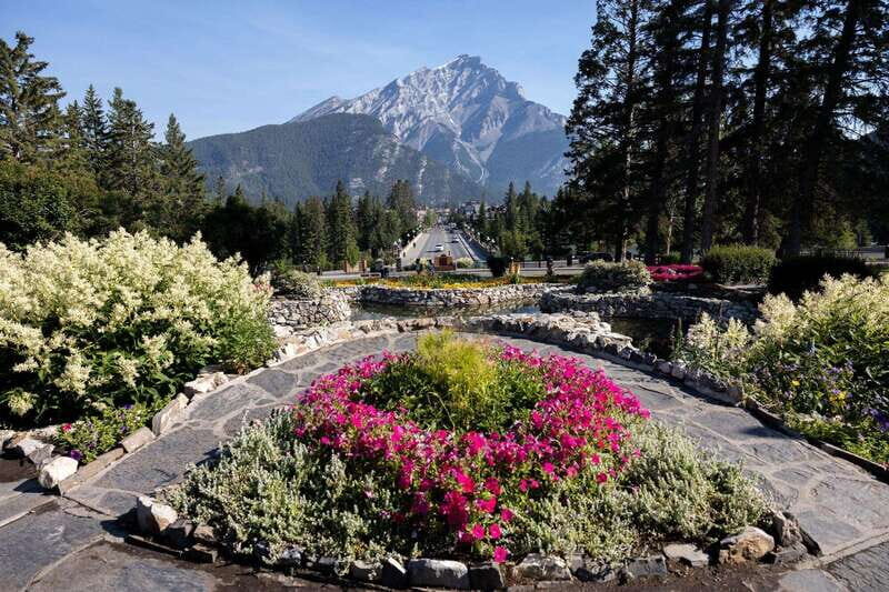 Banff: Edible and Medicinal Plants Nature Walk - What to Expect on the Tour