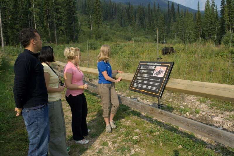Banff: Edible and Medicinal Plants Nature Walk - How the Experience Compares
