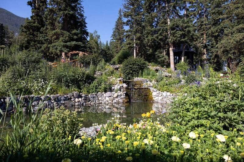 Banff: Edible and Medicinal Plants Nature Walk - Final Thoughts
