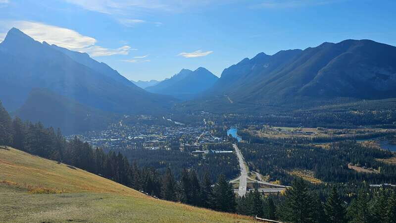 Banff: Evening Wildlife Safari Guided Tour - Key Points