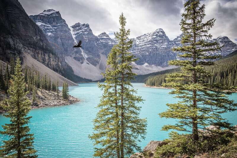 Banff: Experience Moraine, Louise & Peyto Lakes (2 Days) - Is the Tour Worth It?