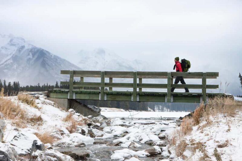 Banff: Explore Winter Nature Walk - Ice Cleats Included 2H - What Is the Banff Winter Nature Walk?