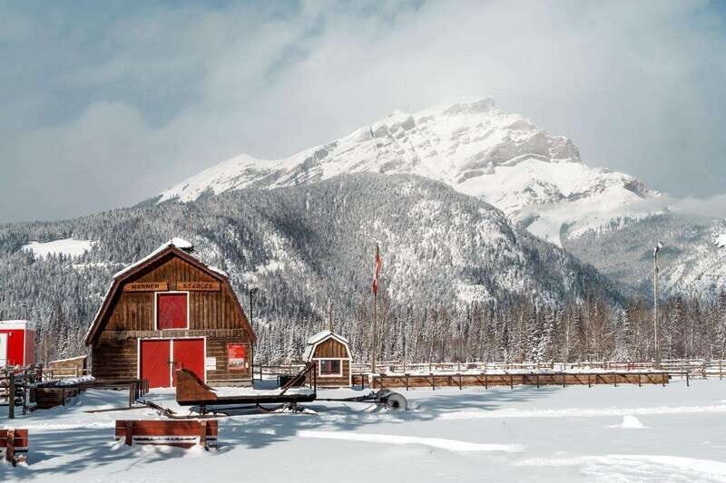 Banff: Family Friendly Horse-Drawn Sleigh Ride - Key Points