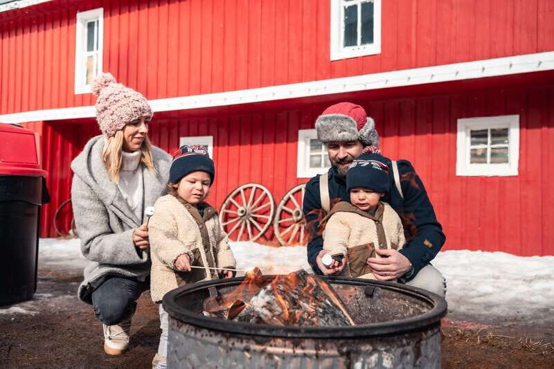 Banff: Family Friendly Horse-Drawn Sleigh Ride - What to Expect from the Banff Horse-Drawn Sleigh Ride