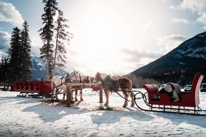 Banff: Family Friendly Horse-Drawn Sleigh Ride - Pricing and Value