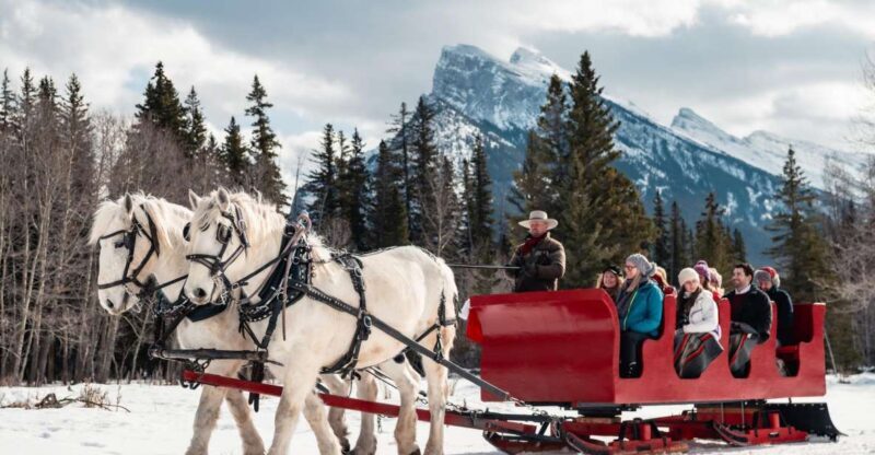 Banff: Family Friendly Horse-Drawn Sleigh Ride - Real Guest Insights