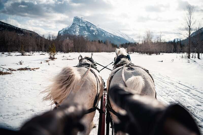 Banff: Family Friendly Horse-Drawn Sleigh Ride - FAQs