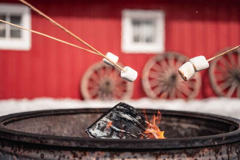 Banff: Family Friendly Horse-Drawn Sleigh Ride - Final Thoughts