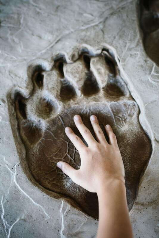 Banff: History Tour with Private Group Museum Tours + Entry - Final Thoughts