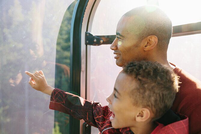 Banff Morning Tour Scenic Highlights and Gondola Ride - The Value of This Tour