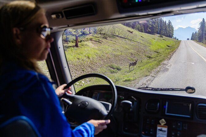 Banff Morning Tour Scenic Highlights and Gondola Ride - Who Should Consider This Tour?