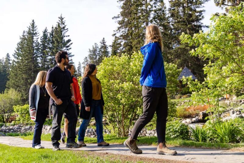 Banff Morning Tour Scenic Highlights and Gondola Ride - Is It Worth the Price?