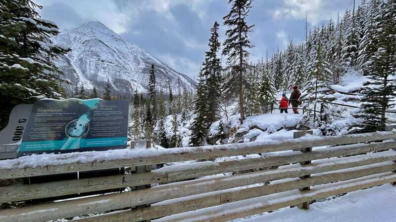 Banff National Park: Canyons, Lakes & Local Favourites - Who Should Consider This Tour?