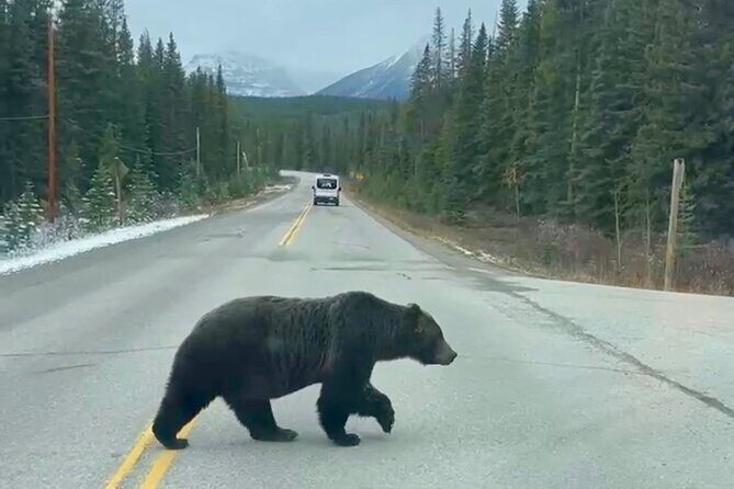 Banff National Park Exclusive Small Group Tour - FAQs