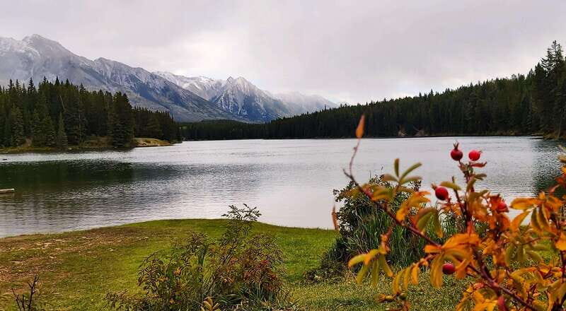 Banff National Park: Full-Day Adventure - The Experience in Detail