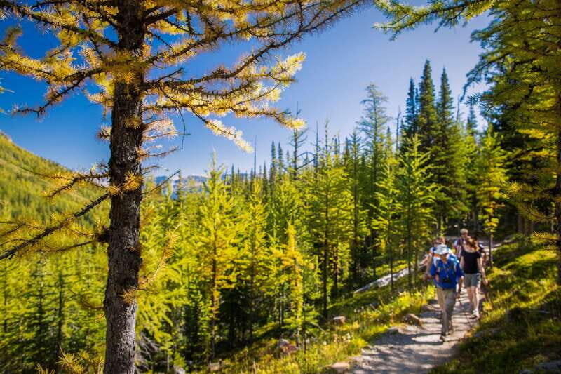 Banff National Park: Guided Signature Hikes with Lunch - Key Points