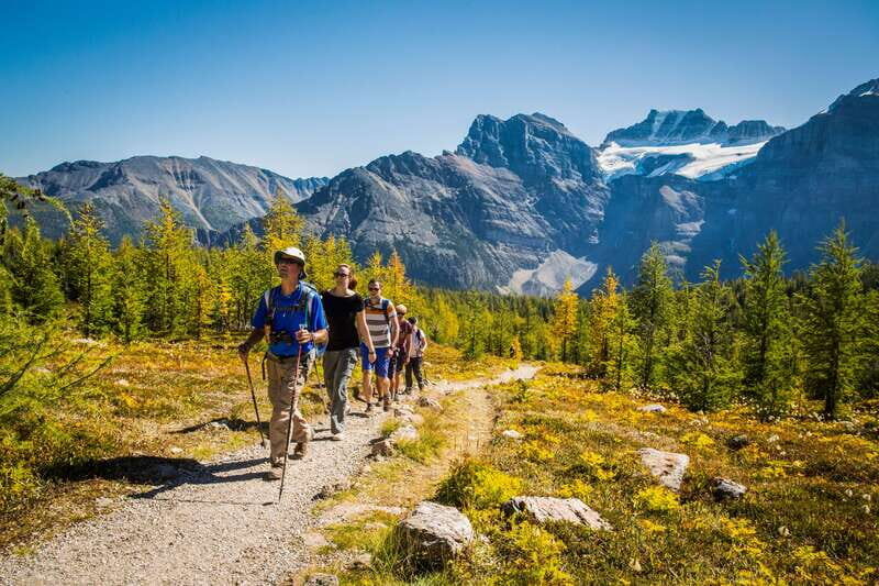 Banff National Park: Guided Signature Hikes with Lunch - What Makes This Tour Stand Out