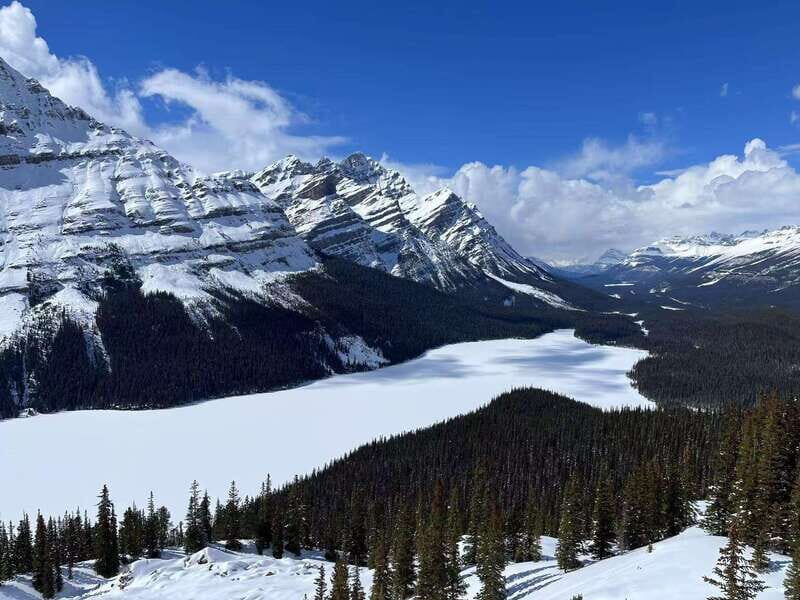 Banff National Park: Lake Louise & Upper Hot Springs Tour - A Close Look at What You Can Expect