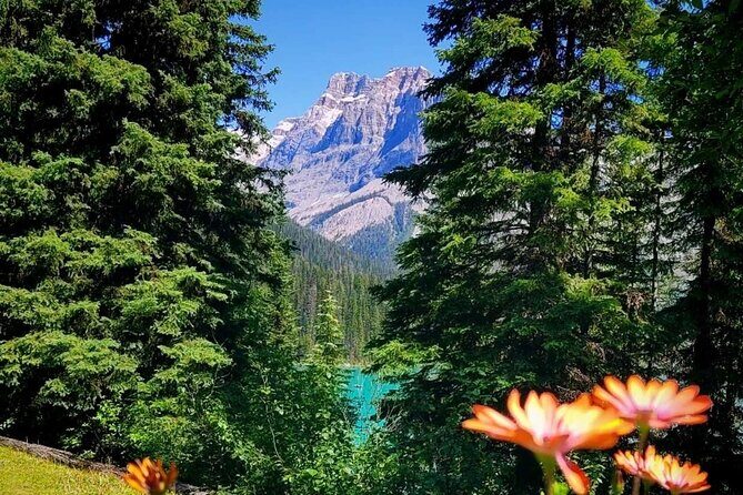 Banff National Park Moraine Lake and Lake Louise Explorer Tour - The Value of the Tour