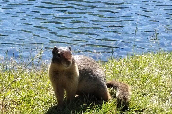 Banff National Park Moraine Lake and Lake Louise Explorer Tour - Frequently Asked Questions