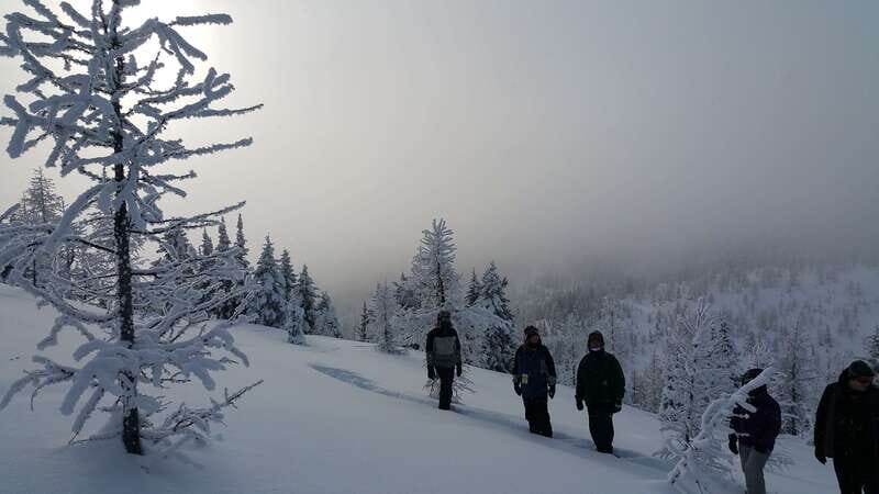 Banff National Park: Sunshine Meadows Snowshoeing Experience - Key Points
