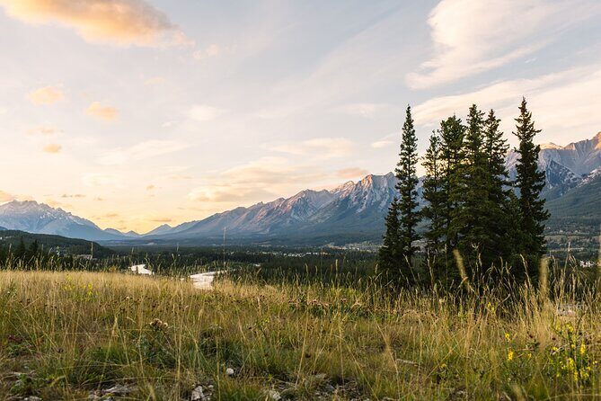 Banff PRIVATE Safari Drive and Custom Nature Walk -4H - What to Expect During the 4-Hour Experience