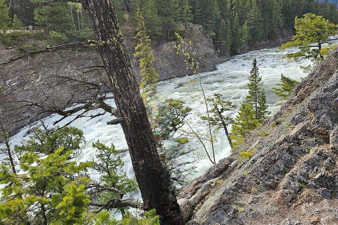 Banff Sightseeing Tour - Who Is This Tour Best For?