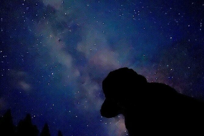 Banff Sunset and Stargazing Tour - 2hr Walking Tour - Is It Worth the Price?