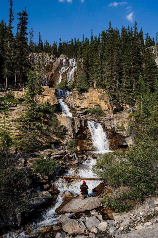 Banff: Thermal Waters and Hidden Waterfalls - 3hr Walk - What the Reviews Say