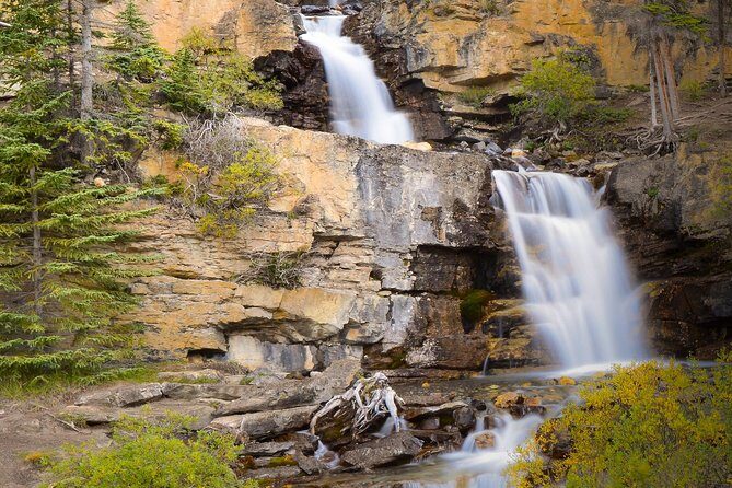 Banff to Jasper One-Way Tour - Transportation & Logistics