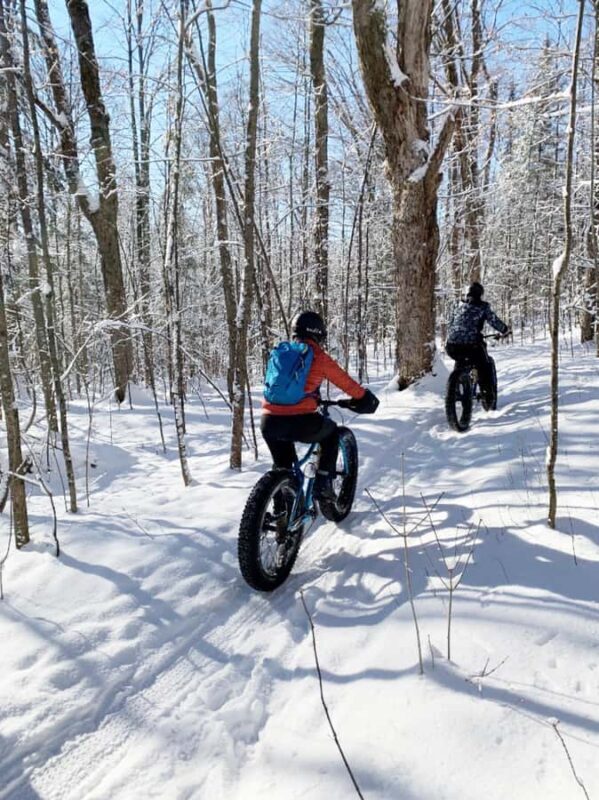 Banff Top Sights E-Fat Bike Tour  All Skill Levels - What Is the Banff Top Sights E-Fat Bike Tour?