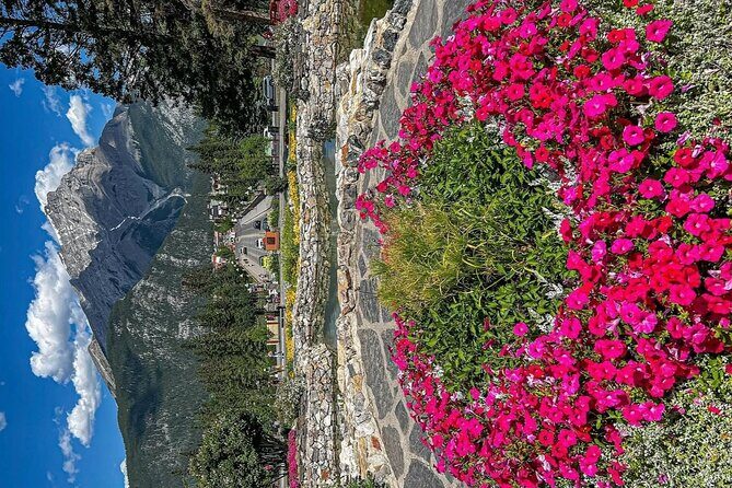 Banff Town Walking Tour Includes Refreshment and Sweet Treat - Who Should Consider This Tour?