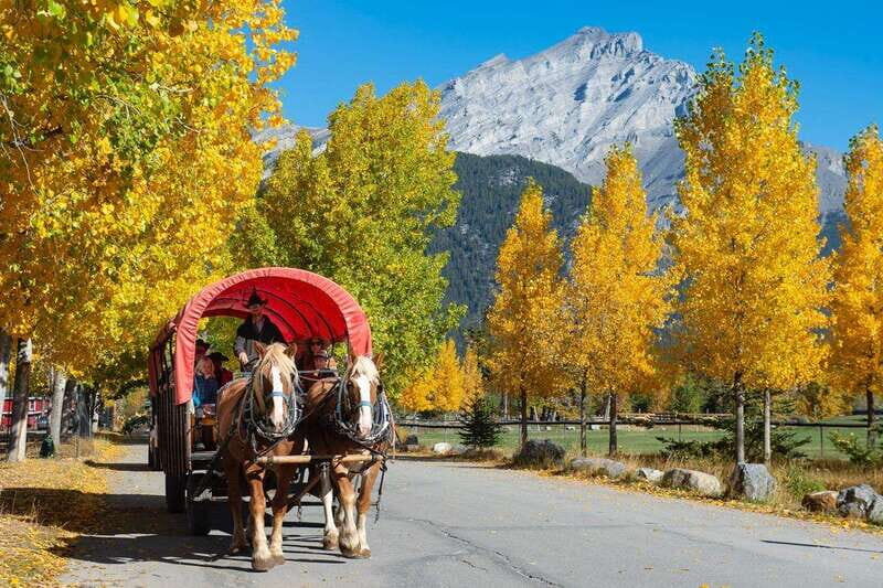 Banff: Wagon Ride with Cowboy Cookout BBQ - Key Points