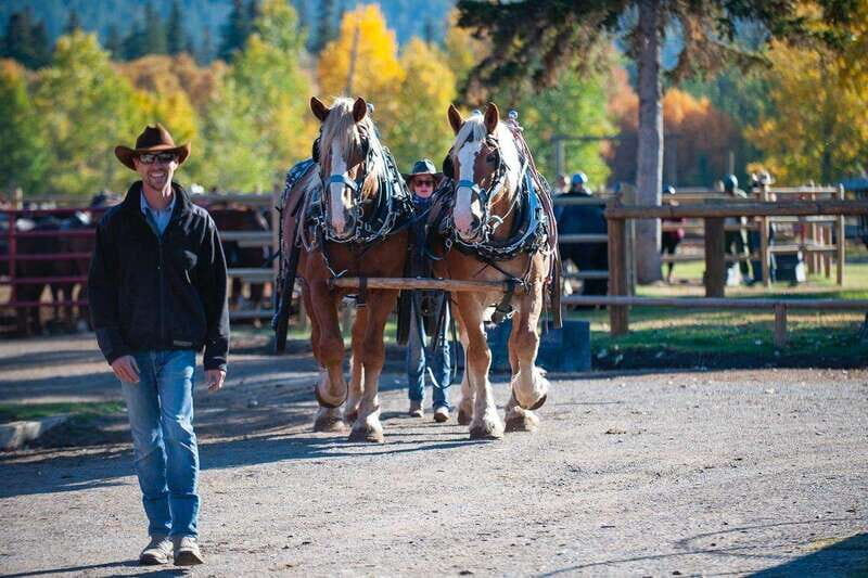 Banff: Wagon Ride with Cowboy Cookout BBQ - Who Is This Tour Best For?