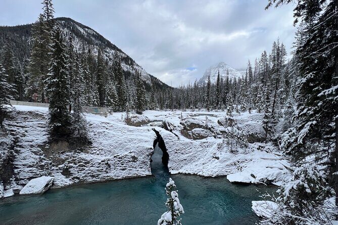 Banff, Yoho, and Icefield Parkway Private Tour - An In-Depth Look at the Itinerary