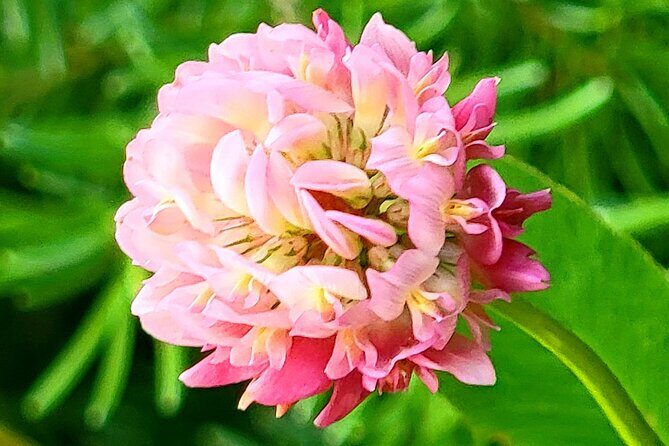 Banff, Yoho, Kootenay and Jasper Private National Parks Tour - Final Thoughts