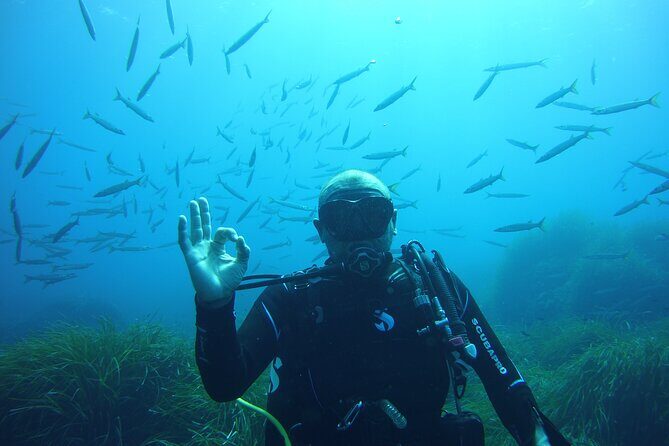Baptism in the Northern Marine Reserve of Menorca - Who Will Love This Tour?