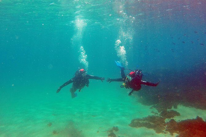 Baptism of diving in the Natural Park of the Strait - The Sum Up