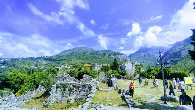 Bar: City Tour with Museum and Old Olive Tree Visit - Key Points