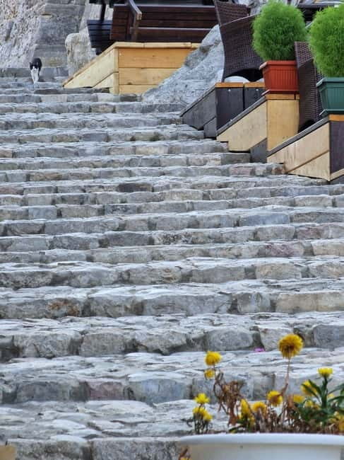 Bar: City Tour with Museum and Old Olive Tree Visit - Who Will Love This Tour?