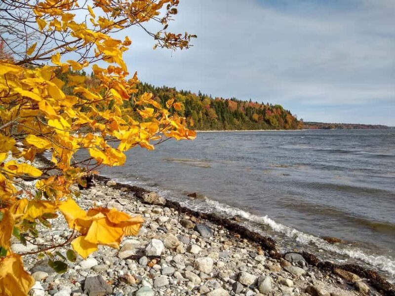 Bar Harbor: Acadia National Park Autumn Leaf Private Tour - Who Should Consider This Tour?