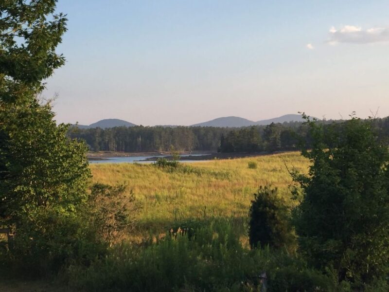 Bar Harbor: Acadia National Park Private Tour with Lunch - Who Should Consider This Tour?