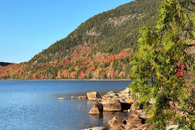 Bar Harbor and Acadia Full Day Private Tour from Portland - Final Thoughts