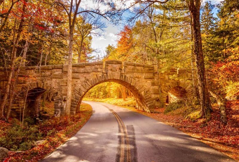 Bar Harbor: Premium Private Tour with Local Guide - What Is Included and Who Is It For?