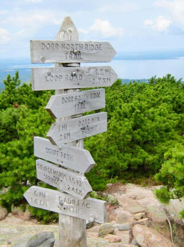 Bar Harbor: Premium Private Tour with Local Guide - Who Should Consider This Tour?