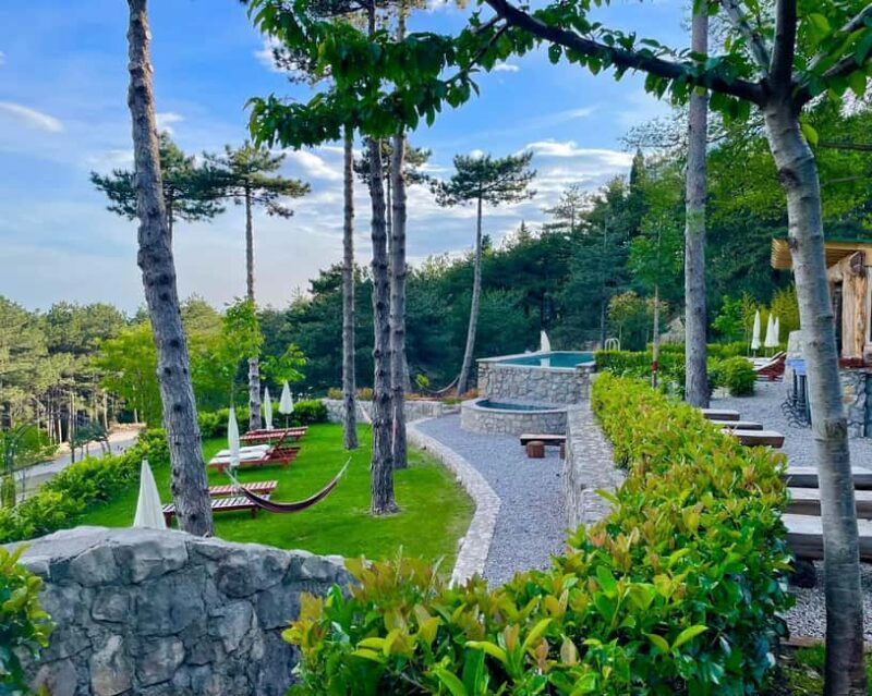 Bar, Montenegro: Shore Excursion with Skadar Lake Cruise - The Tour Breakdown in Detail